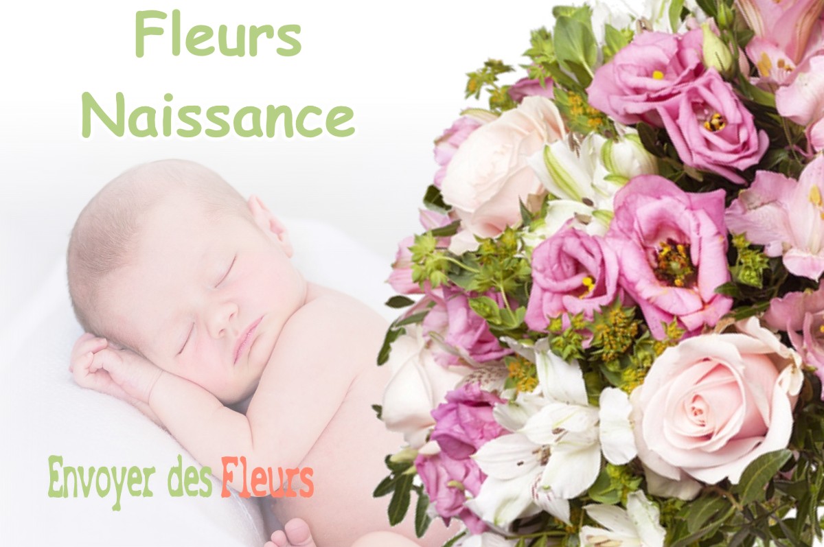 lIVRAISON FLEURS NAISSANCE à GOUTEVERNISSE